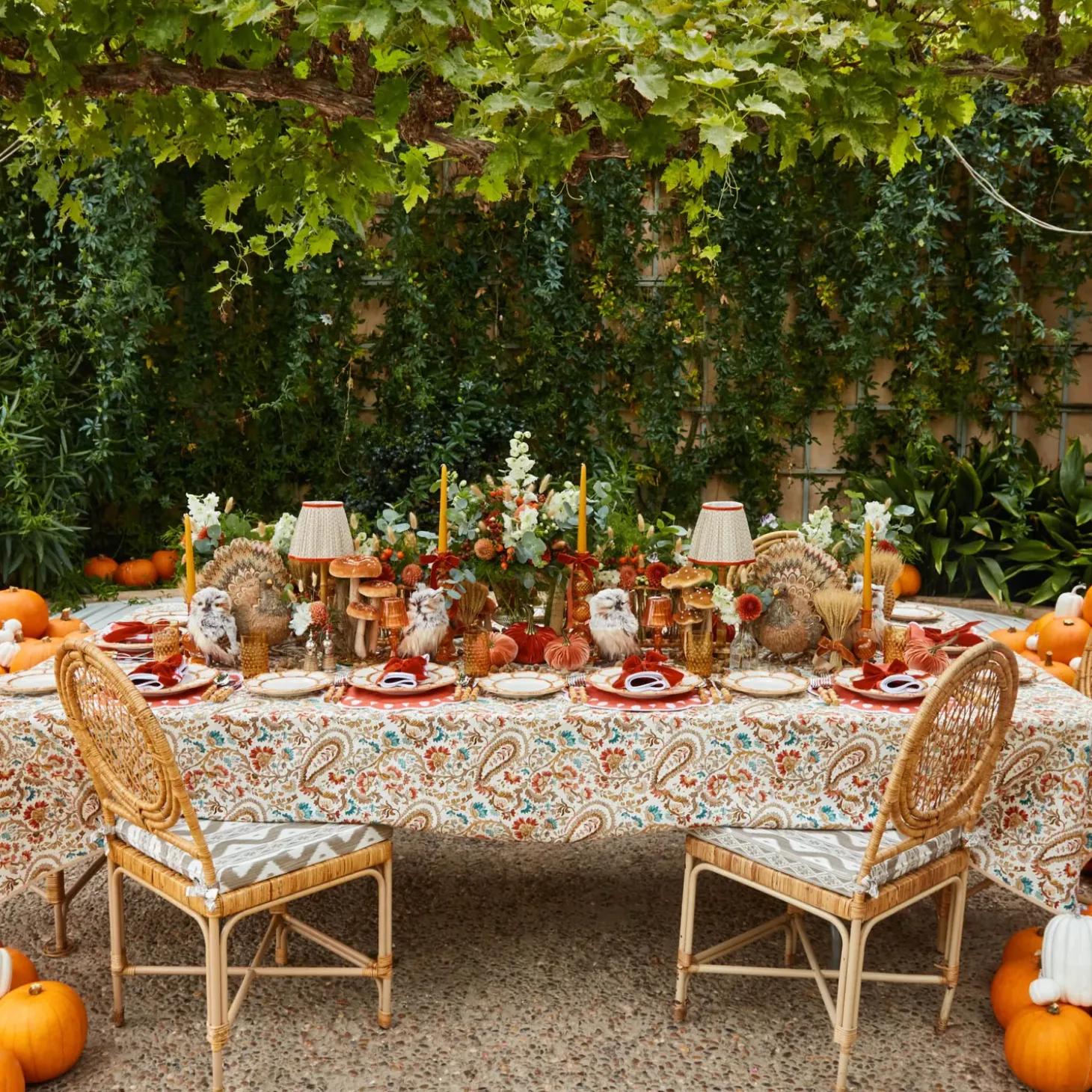 Bettina Burnt Orange Placemats (Set of 4)