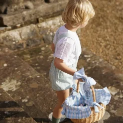 Blue Gingham Basket