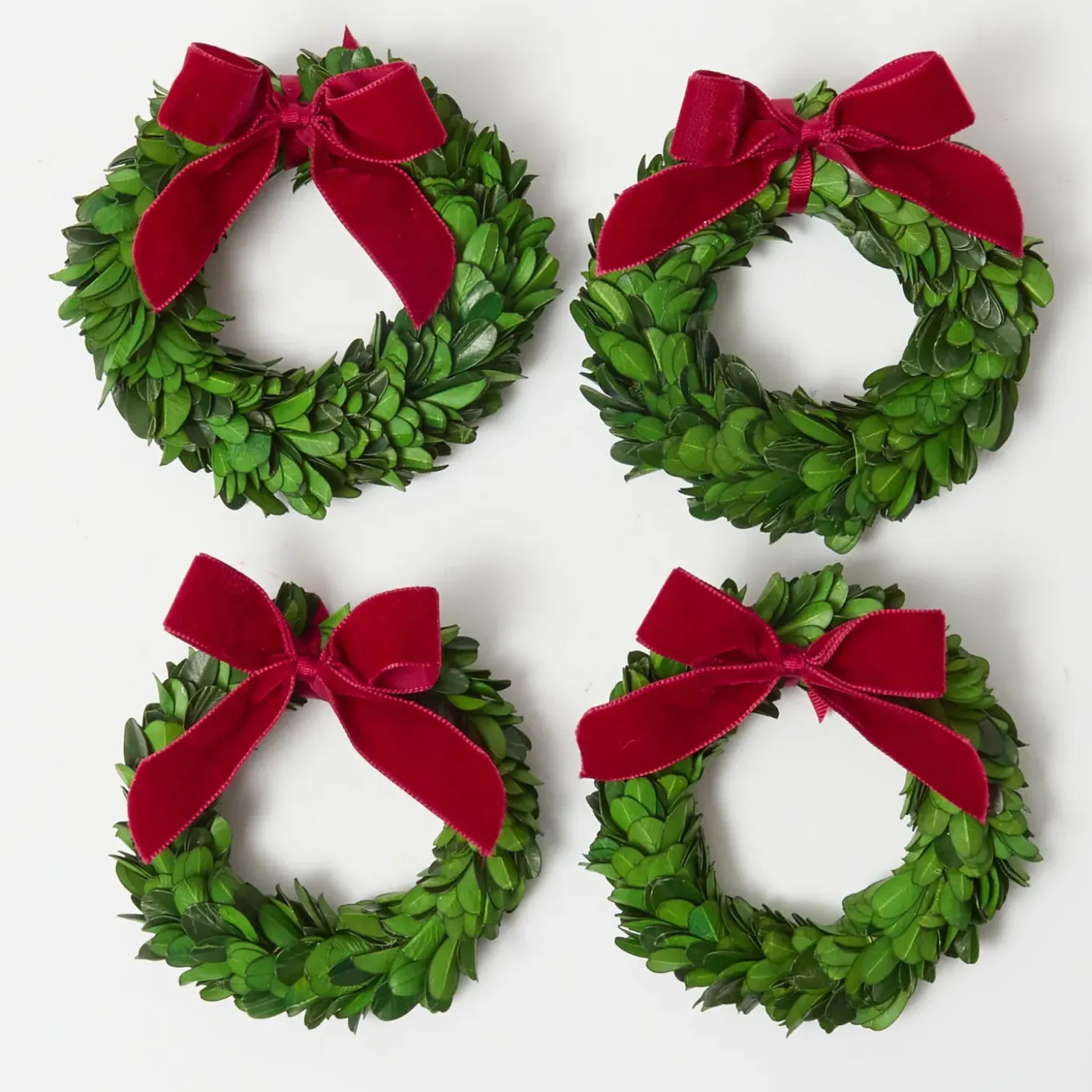 Boxwood Wreath (Set of 4)