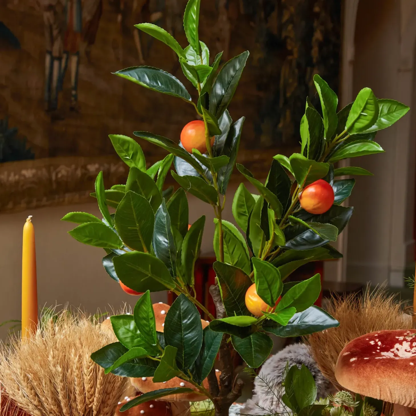 Clementine Tree