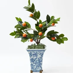 Clementine Tree