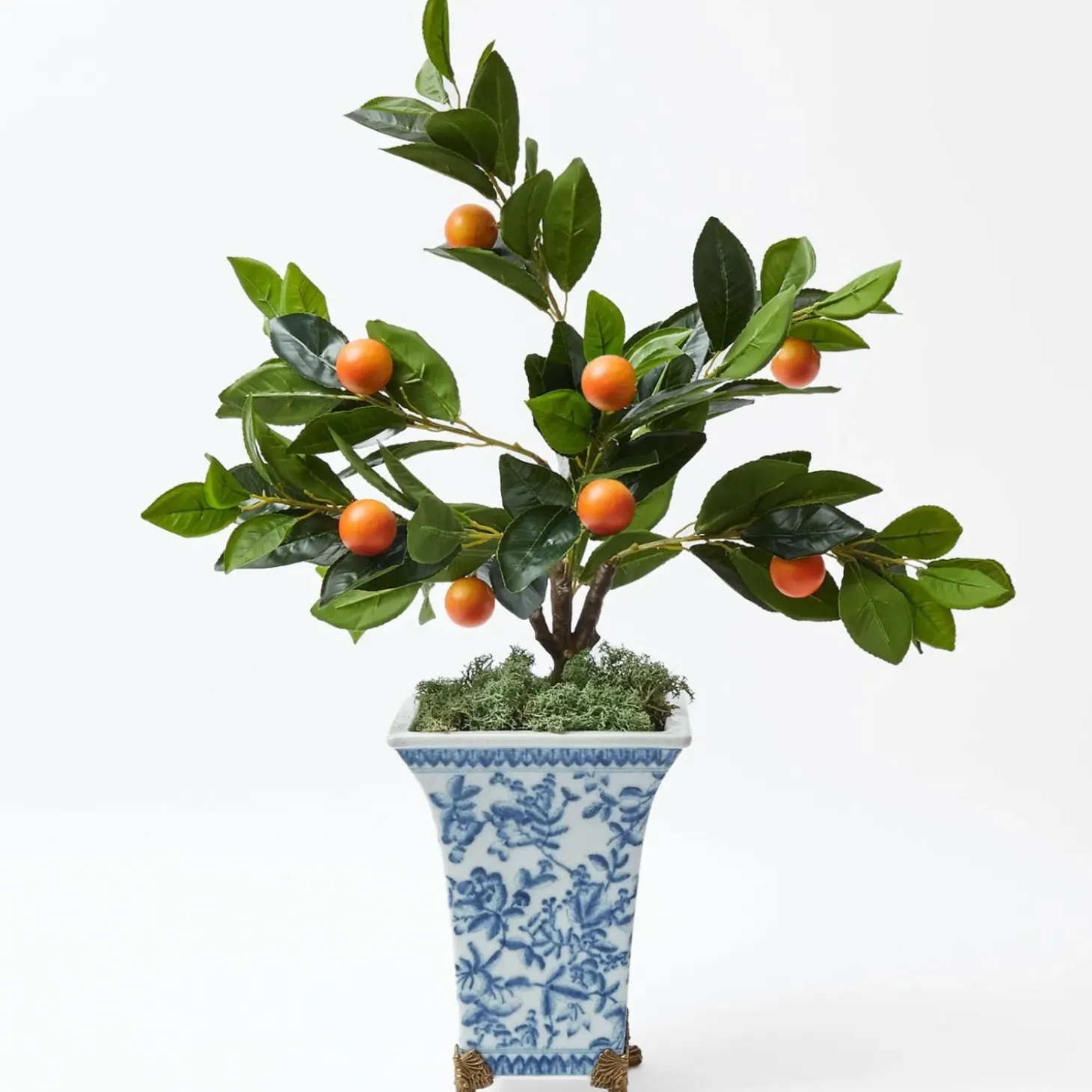 Clementine Tree
