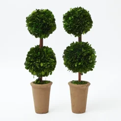Double Potted Boxwood Balls (Pair)