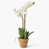 Double Stem Potted Faux Orchid