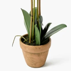 Double Stem Potted Faux Orchid