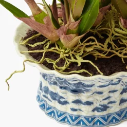 Faux Dancing Lady Orchid in Chinoiserie Planter