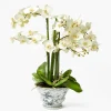 Faux Orchid in Chinoiserie Planter