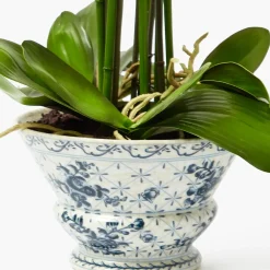 Faux Orchid in Chinoiserie Planter