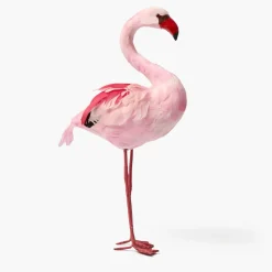 Faye Flamingo Family