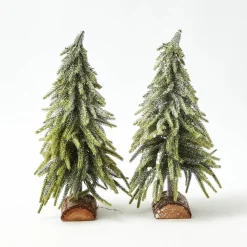 Frosted Fir Tree Family