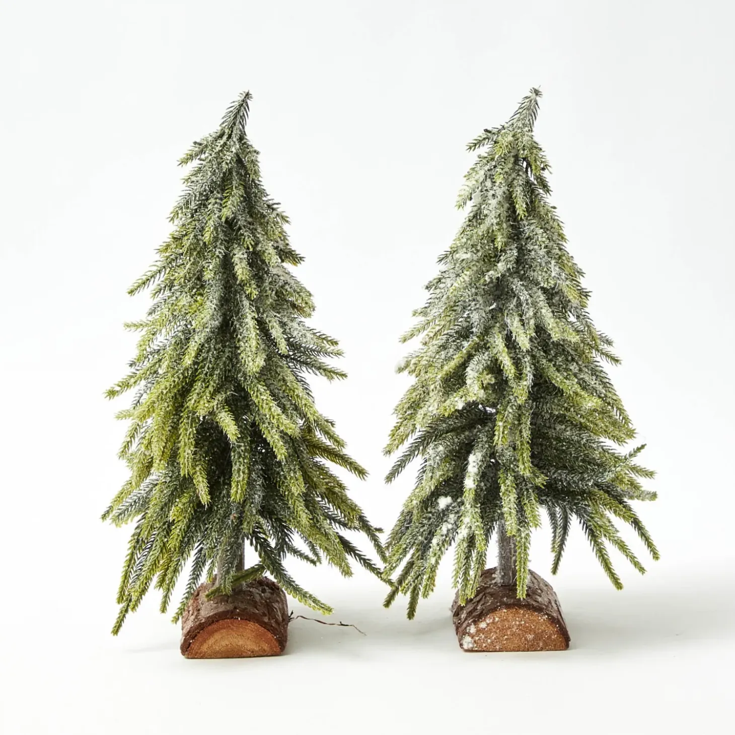 Frosted Fir Tree Family