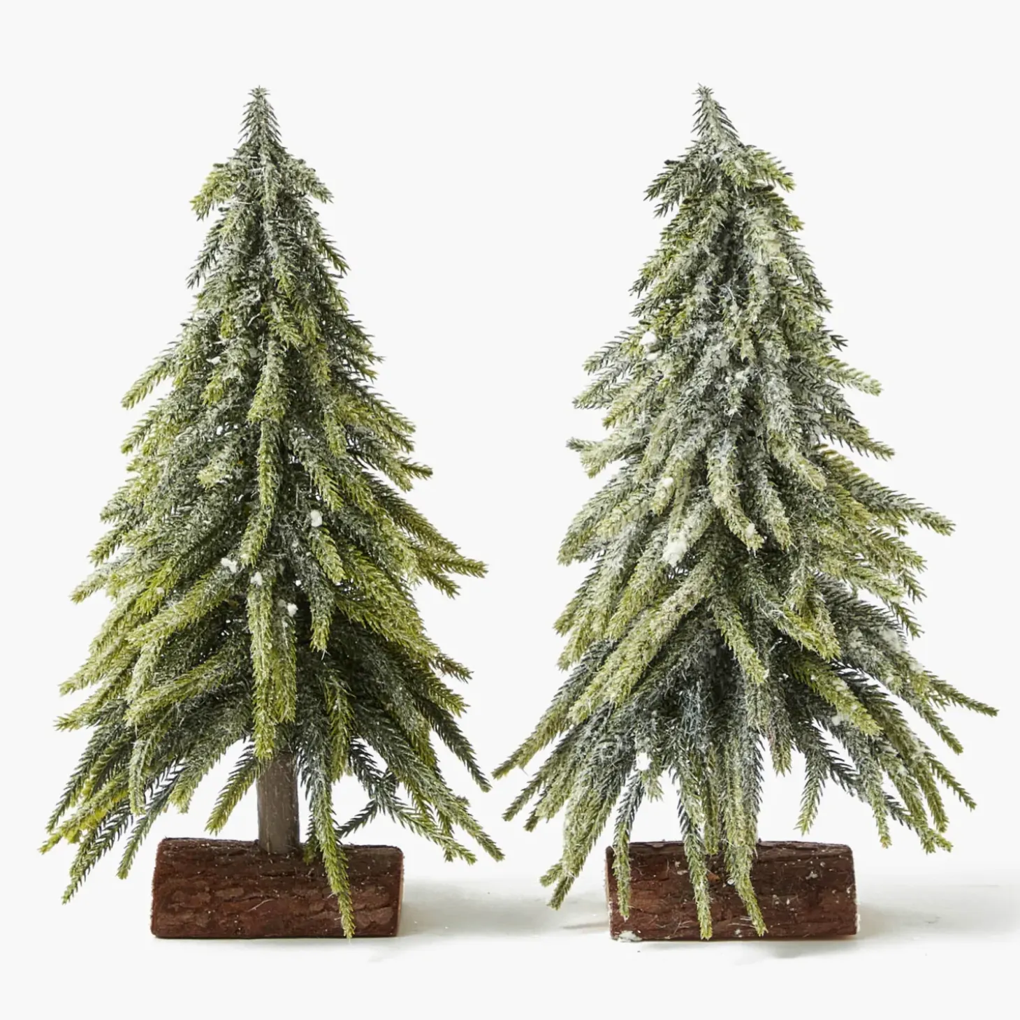 Frosted Fir Tree Family