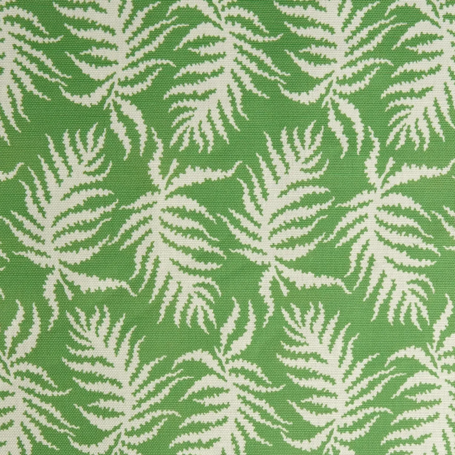 Green Trailing Ferns Fabric