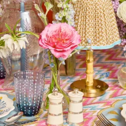 Ivorine Salt & Pepper Set