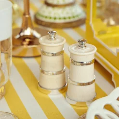 Ivorine Salt & Pepper Set