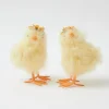 Large Fluffy Chicks (Pair)
