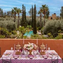 Mariana Pink Placemats & Napkins (Set of 4)
