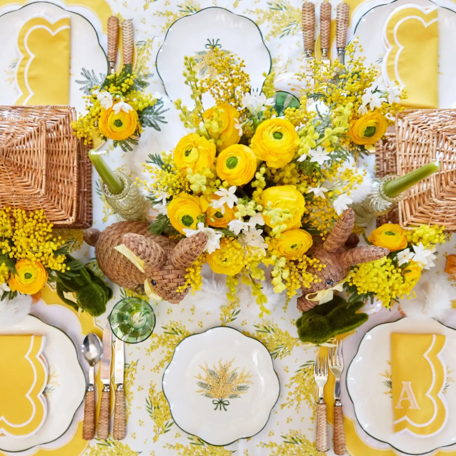 Mimosa Dinner Plates (Set of 4)