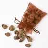 Mrs. Alice Decorative Acorns