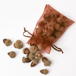 Mrs. Alice Decorative Acorns