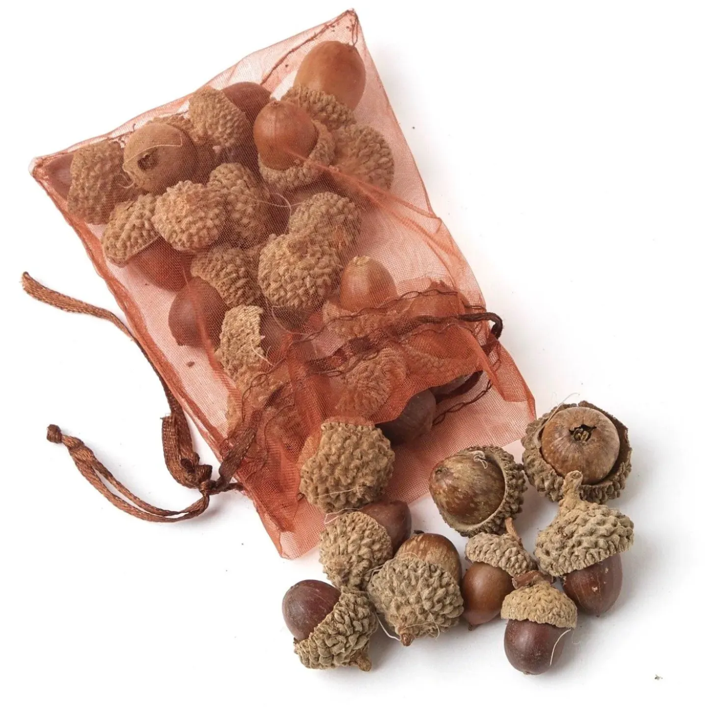 Mrs. Alice Decorative Acorns