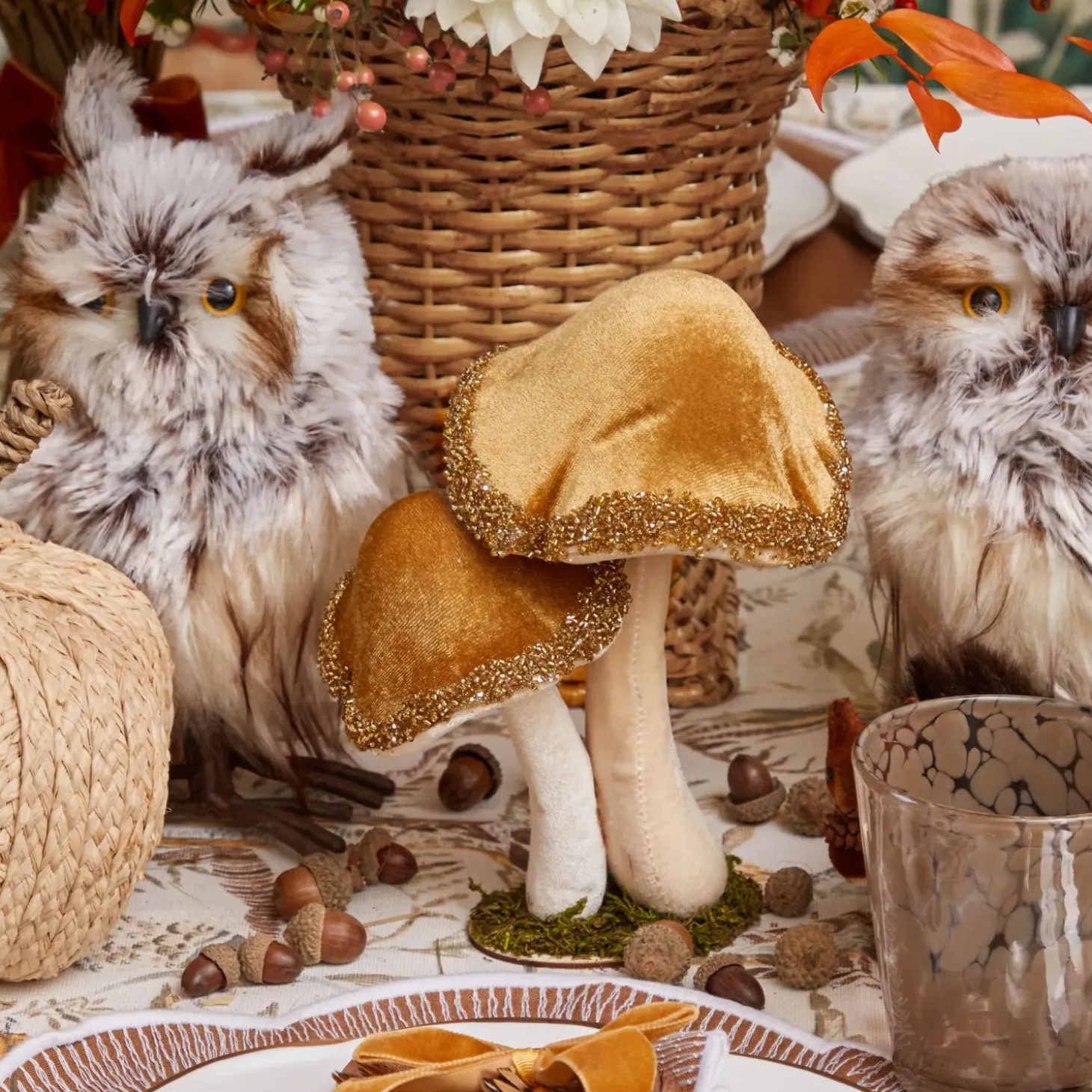 Mrs. Alice Decorative Acorns