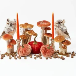 Mrs. Alice Decorative Acorns