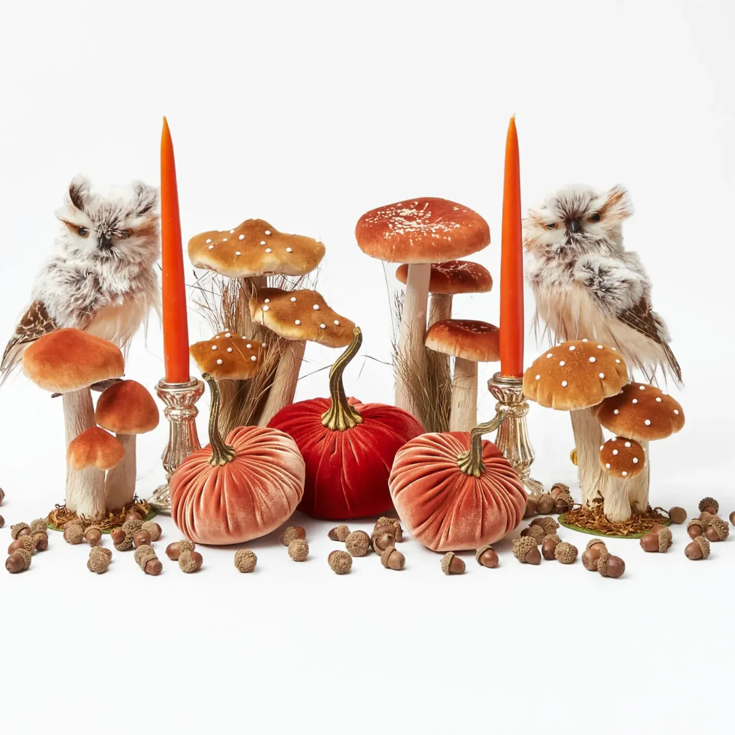Mrs. Alice Decorative Acorns