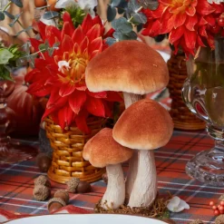 Mrs. Alice Decorative Acorns