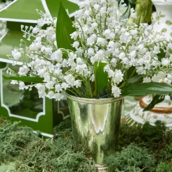 Mrs. Alice Decorative Moss