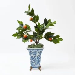 Mrs. Alice Decorative Moss