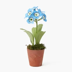 Mrs. Alice Handpainted Blue Auricula