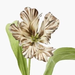 Mrs. Alice Handpainted Chocolate Tulip
