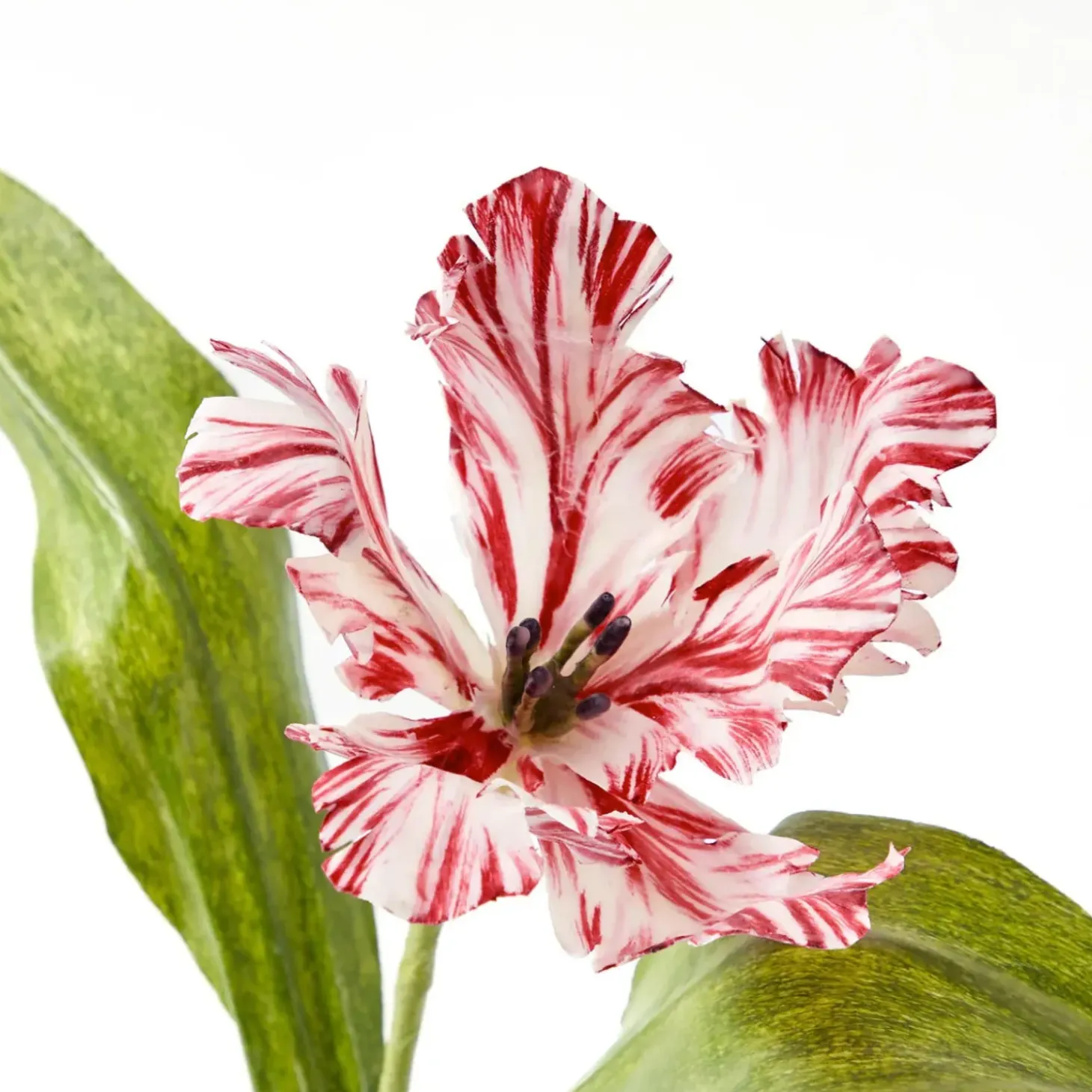 Mrs. Alice Handpainted Red Tulip