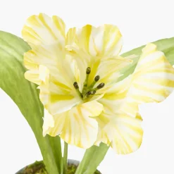 Mrs. Alice Handpainted Yellow Tulip