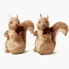 Natural Ribboned Squirrel (Pair)