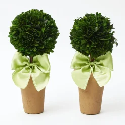 Potted Boxwood Ball with Green Bow (Pair)