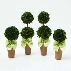 Potted Boxwood Ball with Green Bow (Pair)