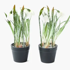 Potted Faux Frosted Snowdrop (Pair)