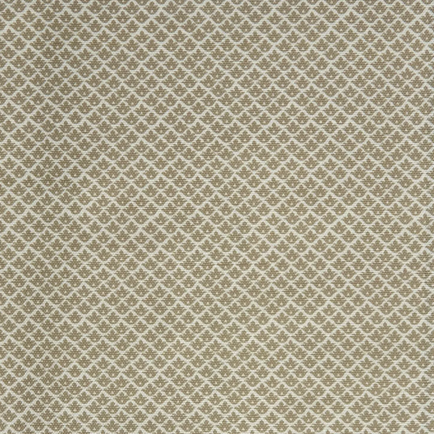 Putty Lotus Flower Fabric