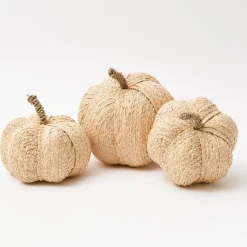 Raffia Pumpkin Family