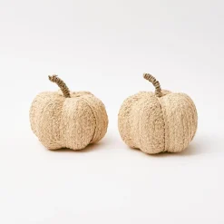 Raffia Pumpkin Family