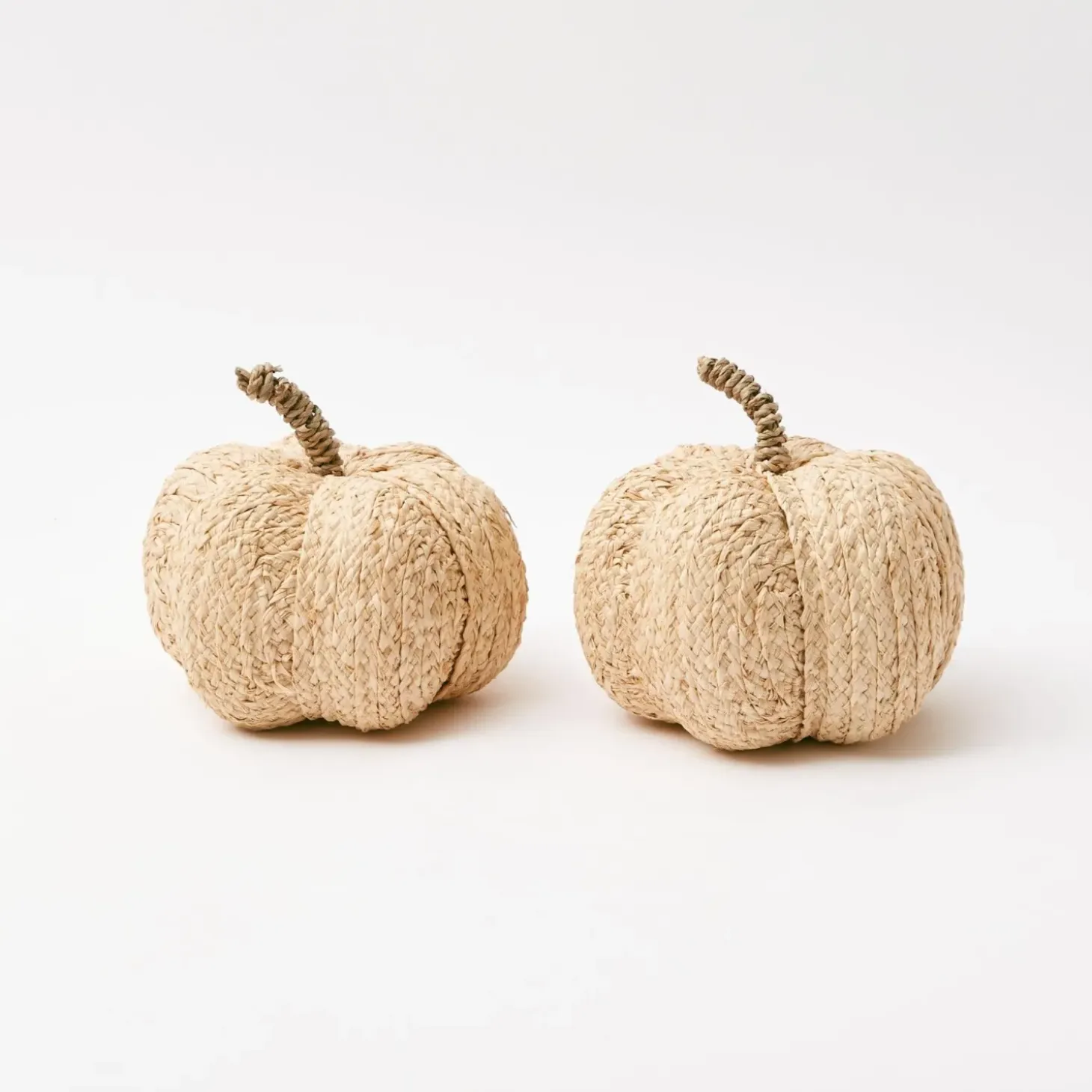 Raffia Pumpkin Family