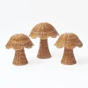 Rattan Mushroom Family