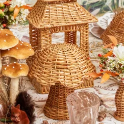 Rattan Mushroom Family