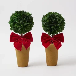 Red Ribboned Potted Boxwood Ball (Pair)