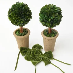 Ribboned Potted Boxwood Ball (Pair)