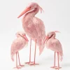 Saskia Stork Family
