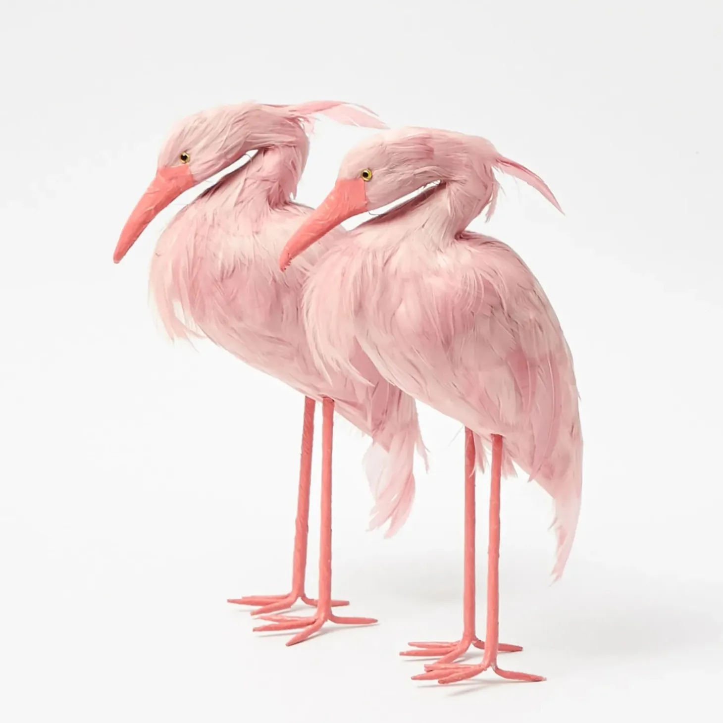 Saskia Stork Family
