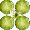Serena Green Cabbage Dinner Plate (Set of 4)
